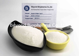 Bovine Collagen Type ii Granular