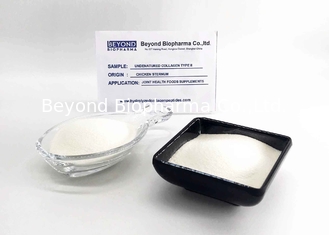 White To Slight Yellow Type Ii Collagen Powder / Research Native Type Ii Collagen
